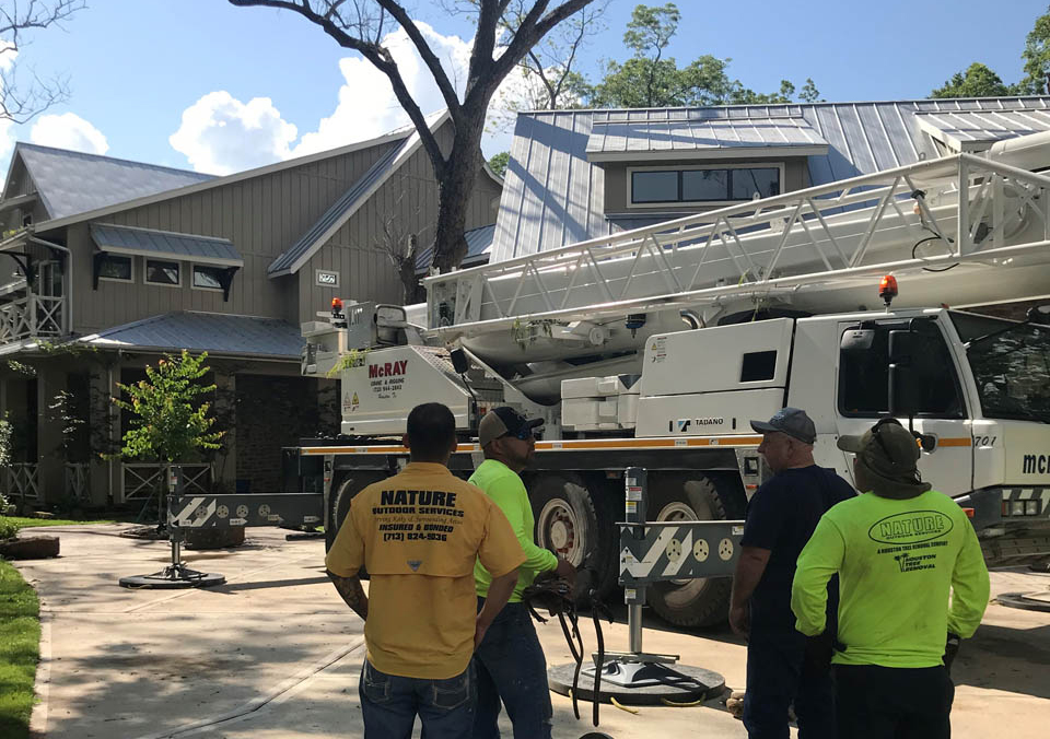 areas | Natures Tree Removal Tree Removal Houston