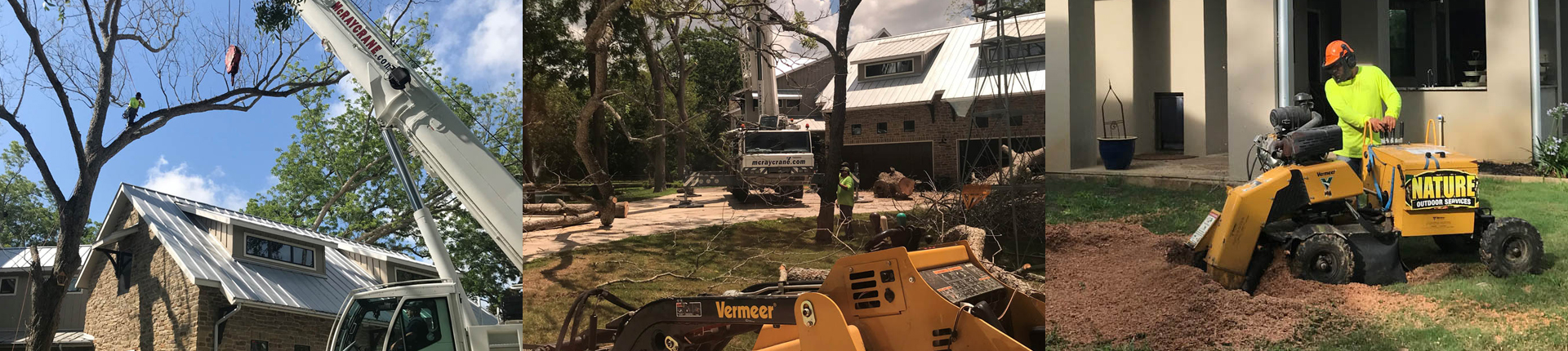 collage | Natures Tree Removal Tree Removal Houston