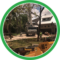 s1 | Natures Tree Removal tree removal houston tx