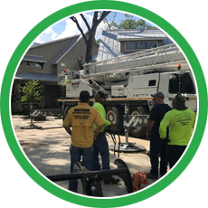 s3 | Natures Tree Removal service3