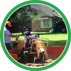 s4 | Natures Tree Removal tree service houston tx