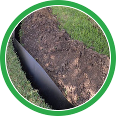 s6 | Natures Tree Removal Tree Removal Houston