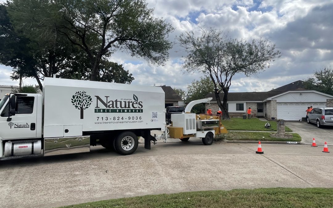 The Benefits of Hiring a Professional Land Clearing Company