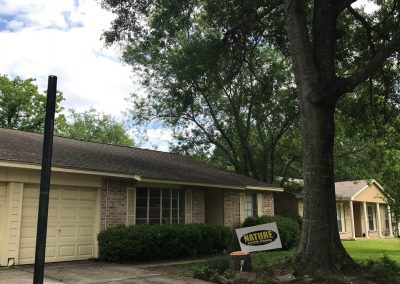 Nature TRee Front yard