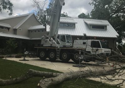 Natures Tree-Closeup tree on ground