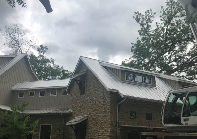 Natures Tree-Crane lifting trunk