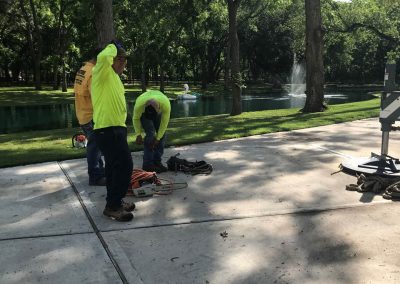 Natures Tree-Crew outside