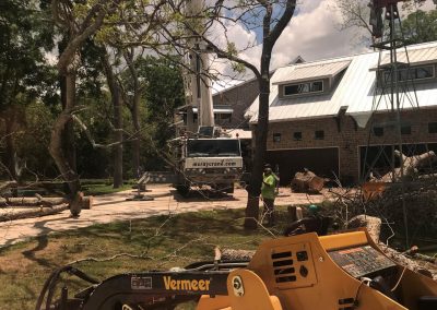 Natures Tree-Equipment