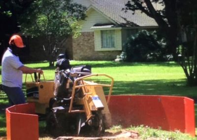Stump Grinding HOUSTON TX