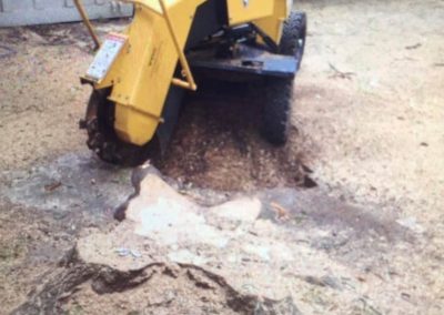 Natures Tree- Stump grinding equipment