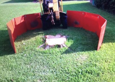 Stump Grinding HOUSTON TX
