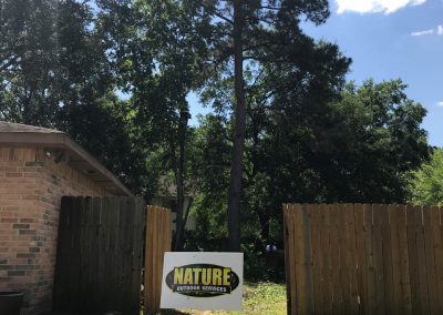 Tree Removal HOUSTON TX