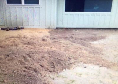 Natures Tree-Tree removal