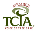 TCIA MEMBER BADGE