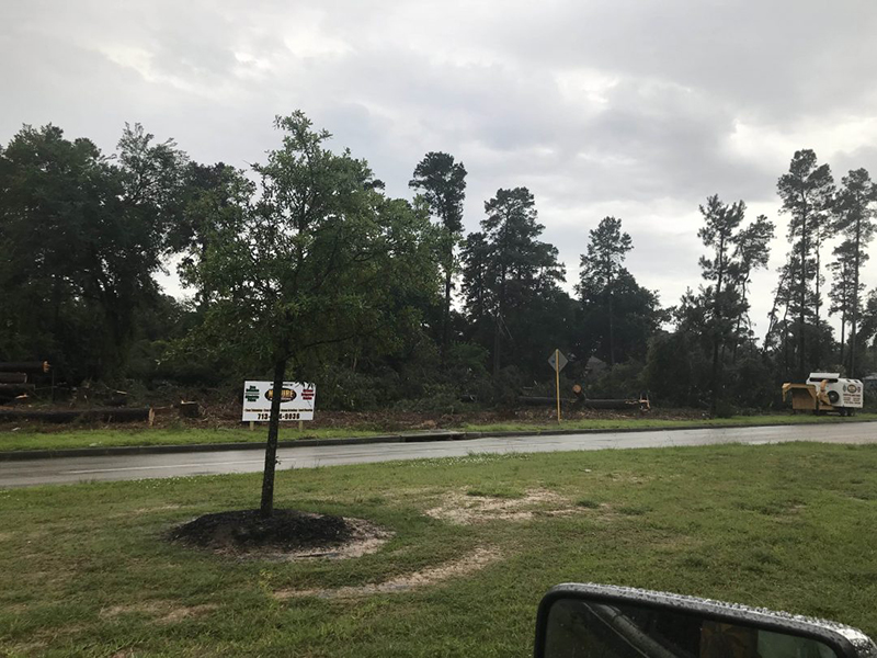 Land Clearing Process: Importance and Steps