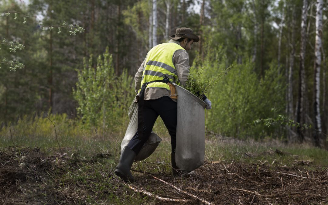 What You Need To Know About Commercial Land Clearing