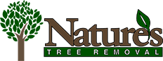 Natures Tree Removal