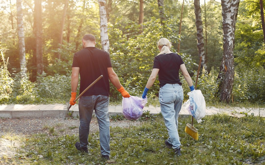 Essential Tips For A Secure Residential Land Clearing Project