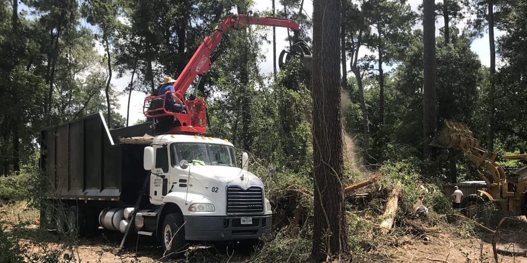Tree Split by Lightning: Why Let the Pros Do the Work?